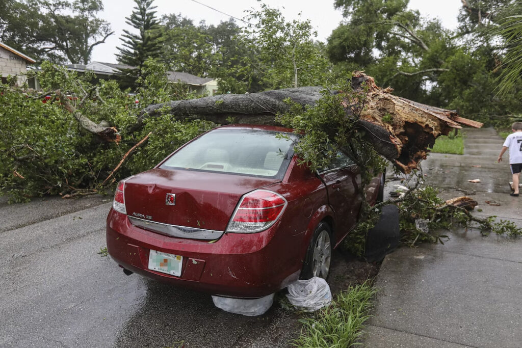 a tree fell down on a red car
